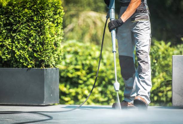 Best Animal Enclosure Cleaning  in Britton, SD