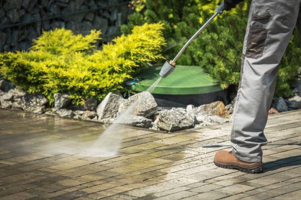 Best Roof Washing  in Britton, SD