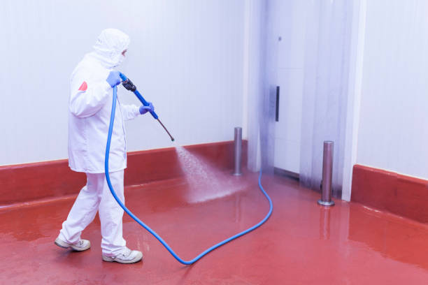 Best Gas Station Cleaning  in Britton, SD
